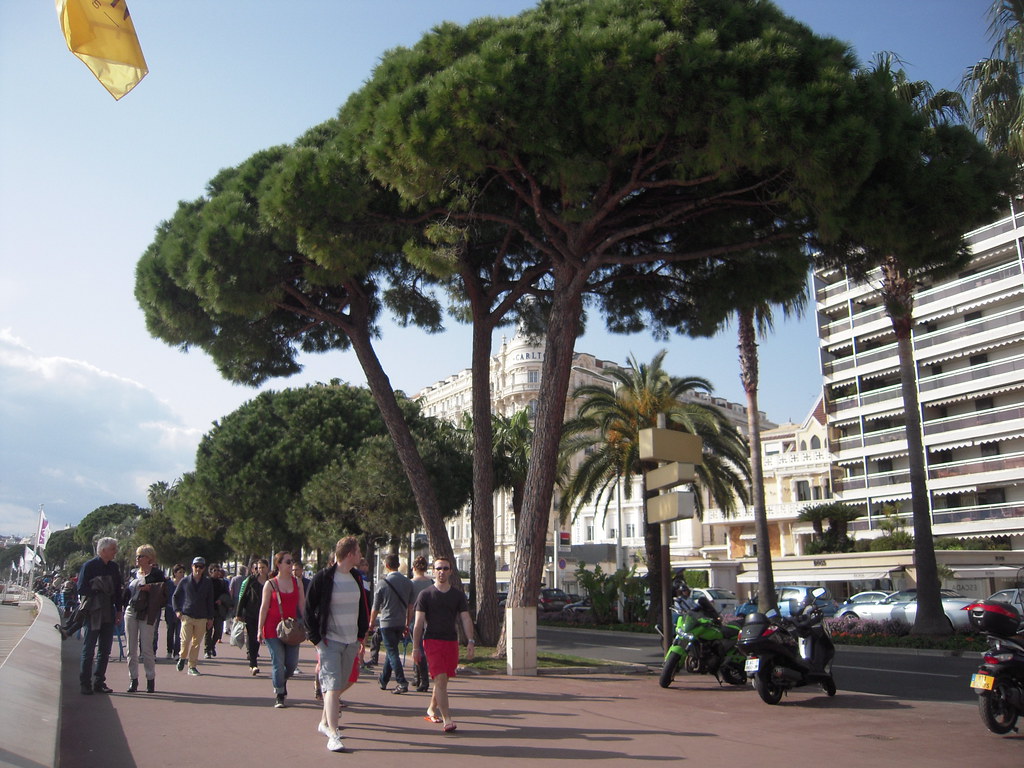Plage de la Croisette