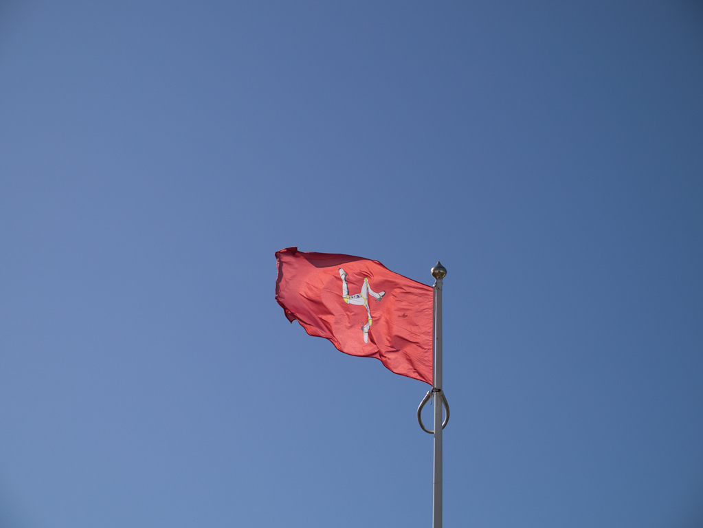 Image of The Flag of the Triskelion