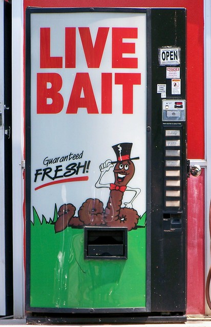 Live Bait, in a vending machine, Even though they've been a…