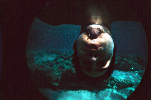 Salento underwater 2012 3