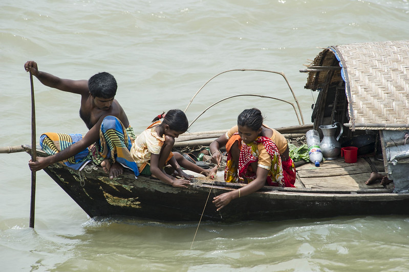 A family fish in Chandpur, Bangladesh. Photo by Finn Thilsted, 2012.
