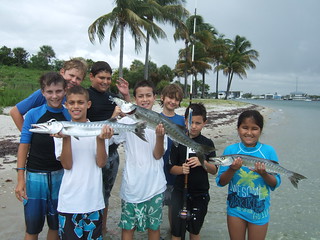 Group with barracudas.