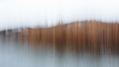 abstract nature landscape pacificnorthwest blur motion canon canoneos5dmarkiii sigma35mmf14dghsmart washington