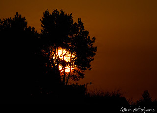 (No.8000 on Flickr) Sunrise | Yeadon Tarn - 28th March 2012