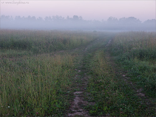 road summer field fog sunrise landscape russia moskovskaya moscowarea podmoskovie aleksandrovka