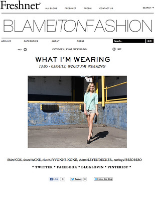 Blame It On Fashion, FRESHNET.COM