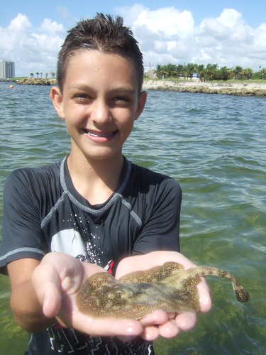 Grayton with a barbless yellow ray.