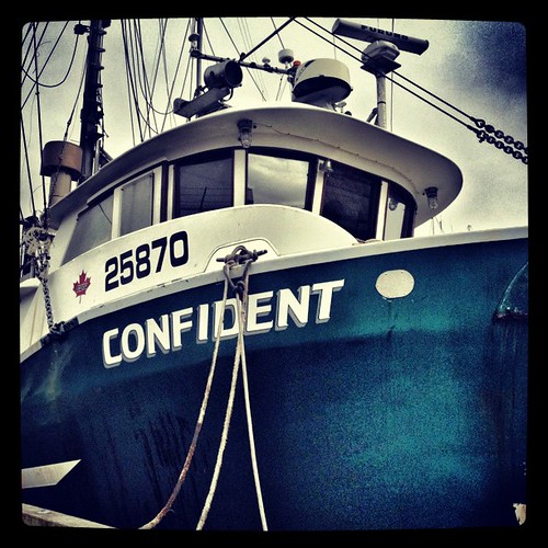 Confident. | by derekfordphoto