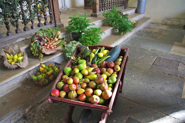 Wheelbarrow of Fruit