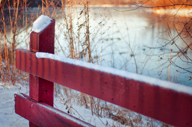 Little Red Snow Fence