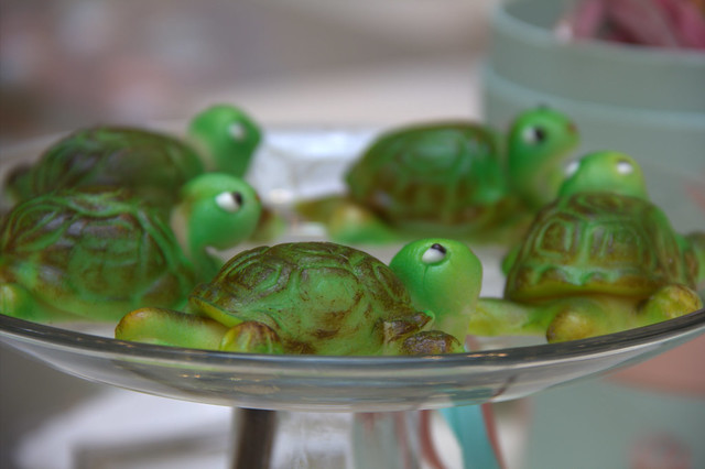 Little Green Turtle