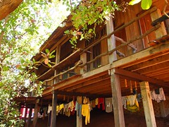 Fantastic treetop lodge (Ban Lung, Cambodia 2011)