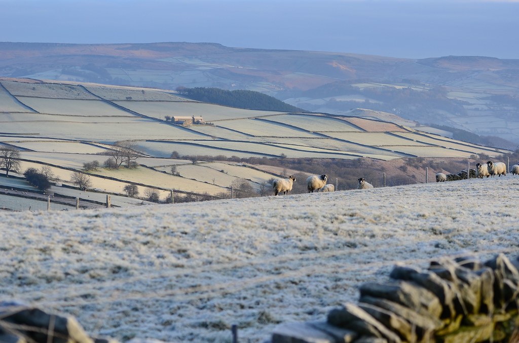 Cockey Farm and beyond from Hucklow edge