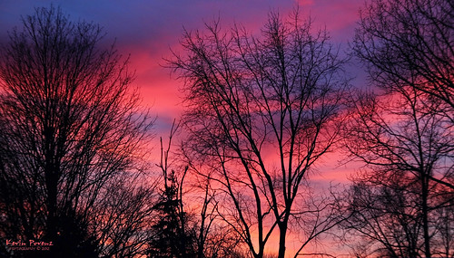 blue sunset red sun tree clouds january 2012