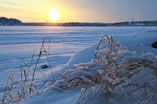 winter sunset lake finland landscape fi kuopio