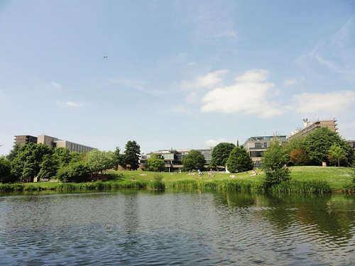University of Bath, lake