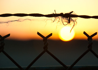 Day 347- Sunset, beyond the fence!