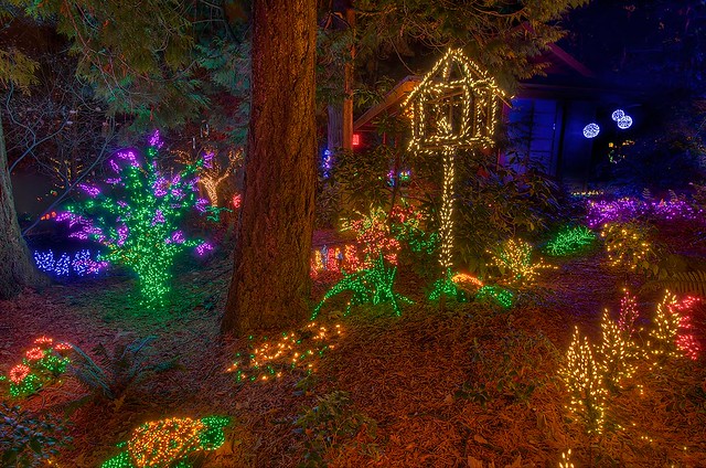 Bellevue Botanical Garden d'Lights - December 10, 2011