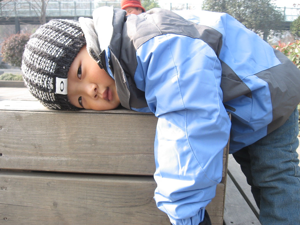 2011-12-24 In Xin Qu Garden. Xiao Yu told me that he feel … | Flickr