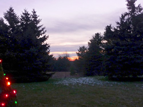 christmas morning winter west colors pine sunrise dawn lights december belmont michigan snowtrees