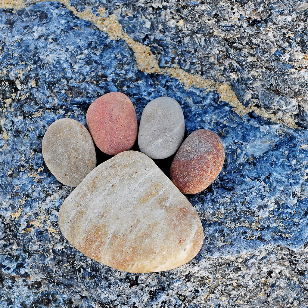 Foot rock. Узоры из камней. Красивые камни. Красивые камушки. Камень для детей.