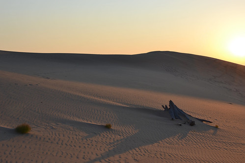 sunset beach shadows dusk michigan dunes greatlakes silverlake sanddunes