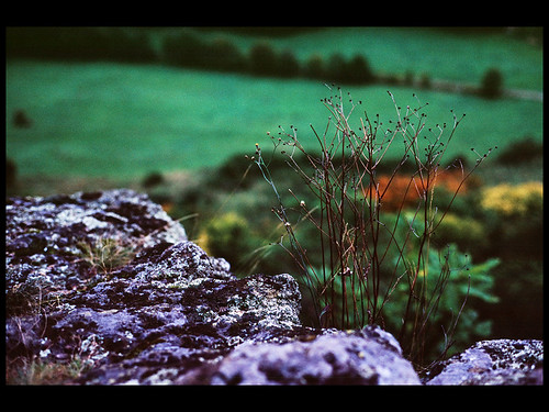 grass rock nikon fuji dry velvia valley fujifilm f3 50 fujichrome twigs f3hp račice