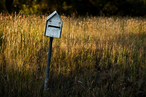 sunlight grass rural nikon alone mail farm australian clematis australia melbourne victoria lonely letterbox davidyoung flickraward nikonflickraward afsnikkor50mm14g