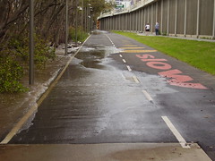 The start of the bikeway coming out of Queensland University of Technology.