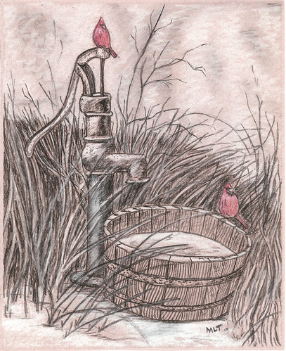 old water grass cardinal drawing pump l marvin tweedy mlt