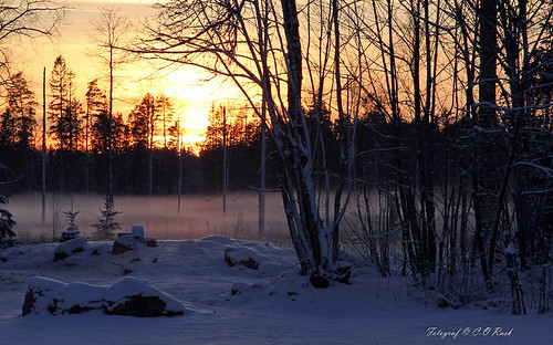 vinter natur 2012 solnedgång