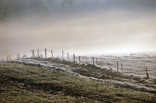 november autumn white mist green field fog fence nebel herbst explore grün weiss 2011 dorenawm