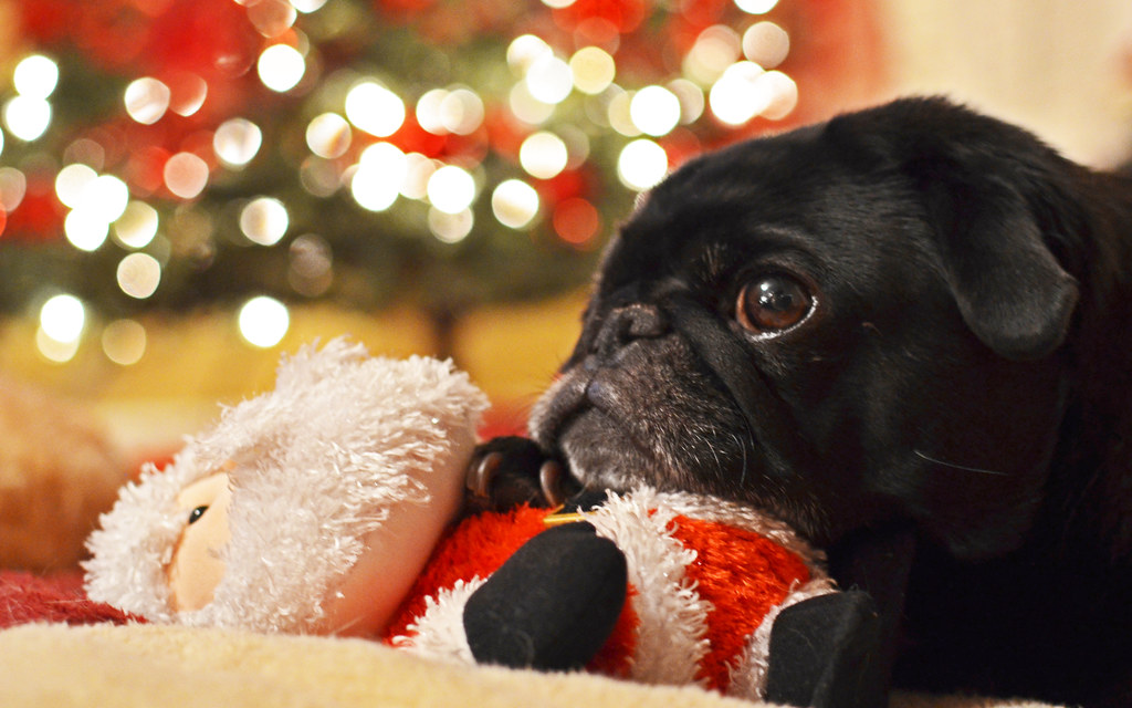 Max and Santa