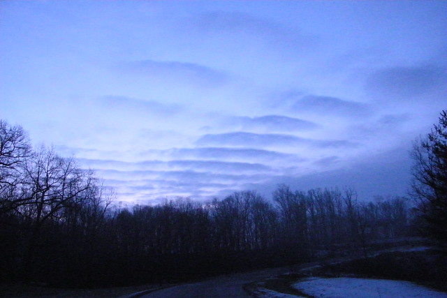 202/365/1297 (December 30, 2011) – Early Morning in Saline, Michigan (Friday December 29, 2011)