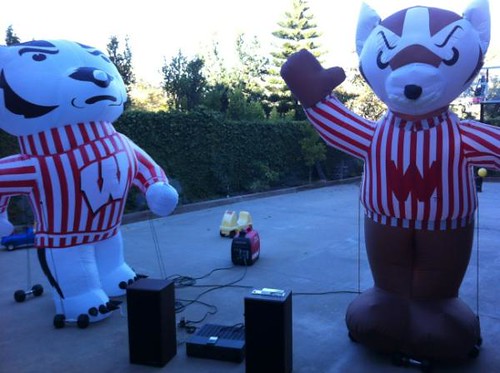 Our dueling Buckys are ready to tailgate! #rosebowluw #badgers http://t.co/0NMxRB2z
