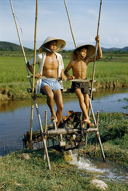 Huế 1952 - Hai cha con đạp guồng dẫn nước vào ruộng