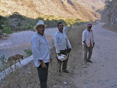 Leñadores de Yolotepec, Oaxaca, Mexico