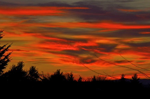 November Sky by Distant Hill Gardens and Nature Trail, Another beautiful November sunset at Distant Hill Gardens.

<a href="http://www.distanthillgardens.o
