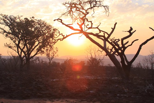 africa sunset southafrica fire smoke mountainsanctuary
