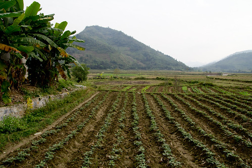 vietnam landschap 2011 cốcxâm