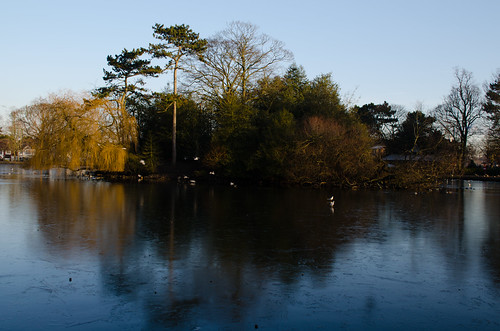 Frozen West Park lake and island