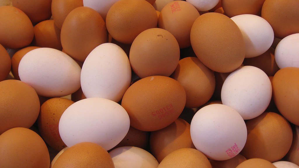 Eggs | Eggs are laid by females of many different species, i… | Flickr