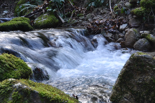 Fiume rusareda 2 by Nikonucida, 