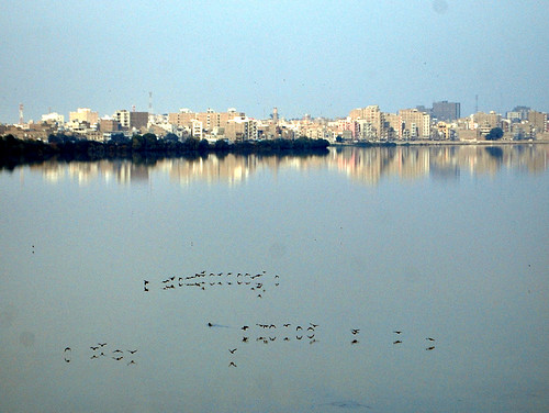 city pakistan panorama reflection birds siberian landscaper migratorybirds sukkur mirjee siberianmigratorybirds