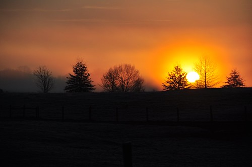 blacksburg virginia usa sunrise mornign sun trees silhouette d90 sooc dawn view600