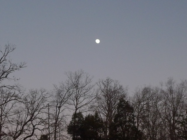 moon sets on Cherokee Lake