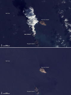 NASA Satellite Sees New Island Forming in the Red Sea