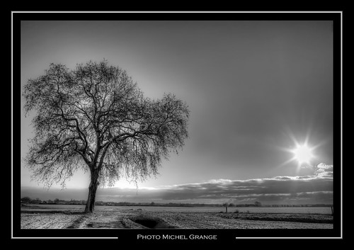 Snow landscape by mg photographe, 2011 © MG PHOTOGRAPHE - Tous droits réservés. All Rights Reserved - No Usage Allowed in Any Form...
