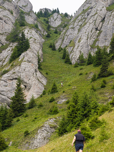 Wrong path | by marius_pirvu