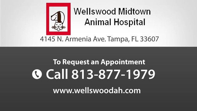 Wellswood Midtown Animal Hospital | Flickr